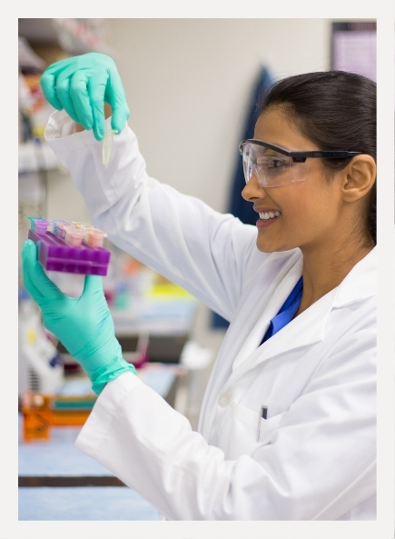 Council's Research Work